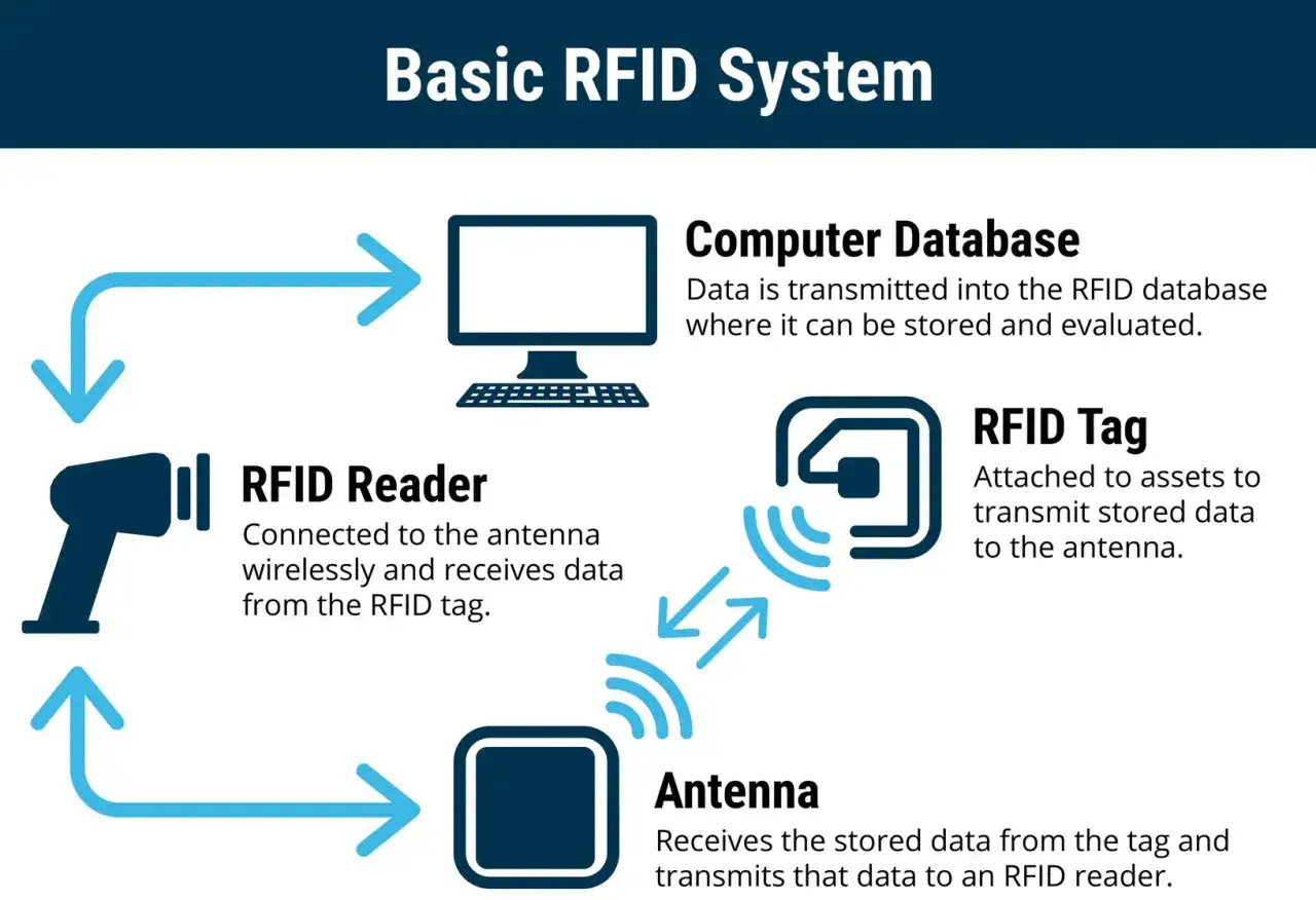 Schemat podstawowego systemu RFID: czytnik, tag, antena i baza danych. Dowiedz się, rfid co to jest i jak działa.