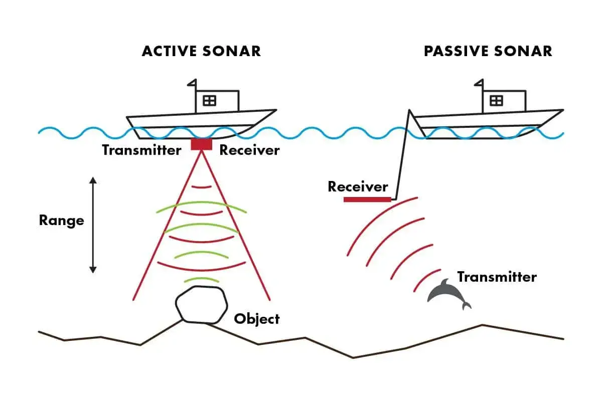 Aktywny sonar wysyła sygnał i odbiera echo od obiektu, pasywny sonar nasłuchuje dźwięków, np. od delfina. Tak działa sonar.